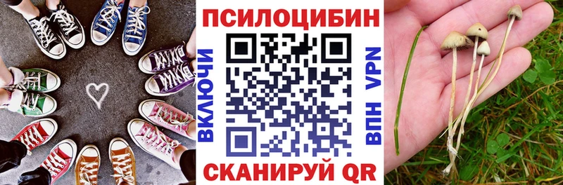 Купить закладки  Ленск  Псилоцибиновые грибы Cubensis 